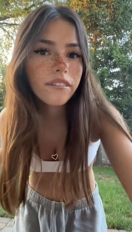 Ava quijije haut étoile galeries