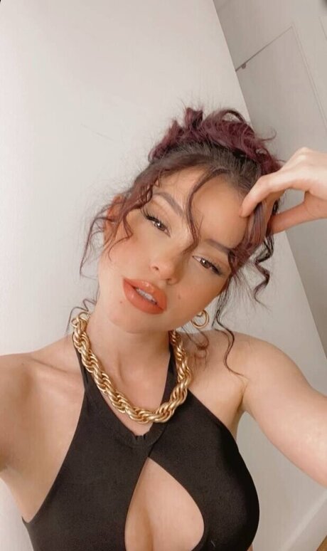 fans végétaliens uniquement assez exclusif galeries