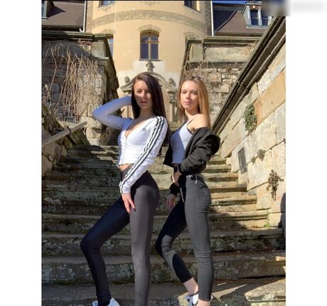 Mausistern jolie étoile galeries