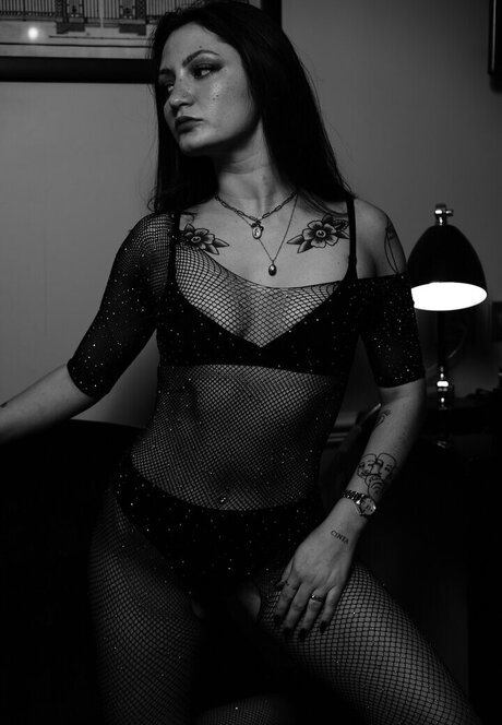 fans uniquement du dmv adulte de haute qualité img