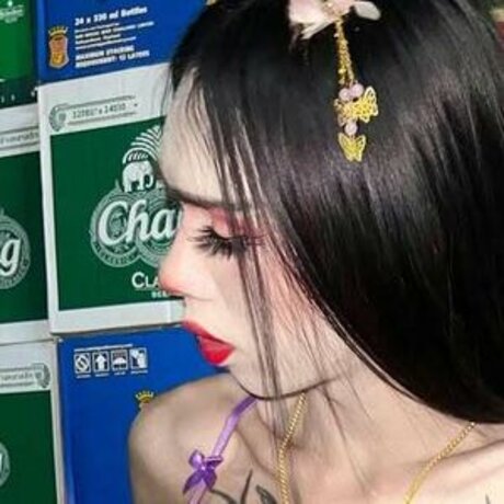 fans de nerds uniquement top sympa galeries