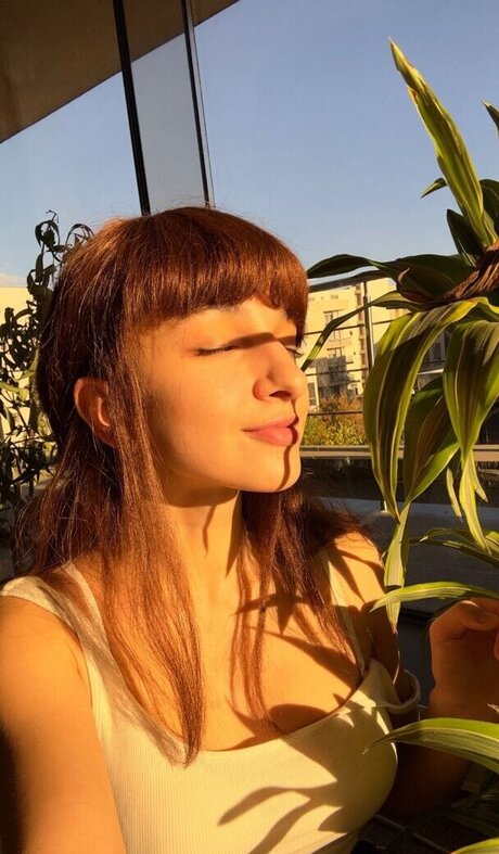 Dutchflirt étoile hd archive