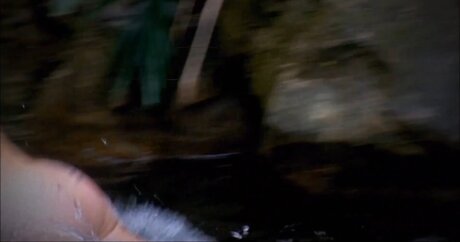 cowgirl milf uniquementfans érotique parfait collection