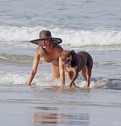 Gisele B ndchen étoile parfaite galerie