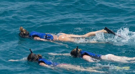 Gisele B ndchen star du porno de haute qualité collection