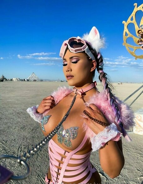 Willydonka modèle nu archive