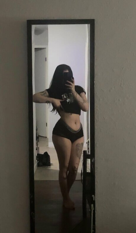 tt t772 belle étoile galeries