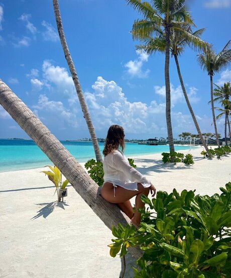 gros cul gros seins onlyfans haut de gamme image