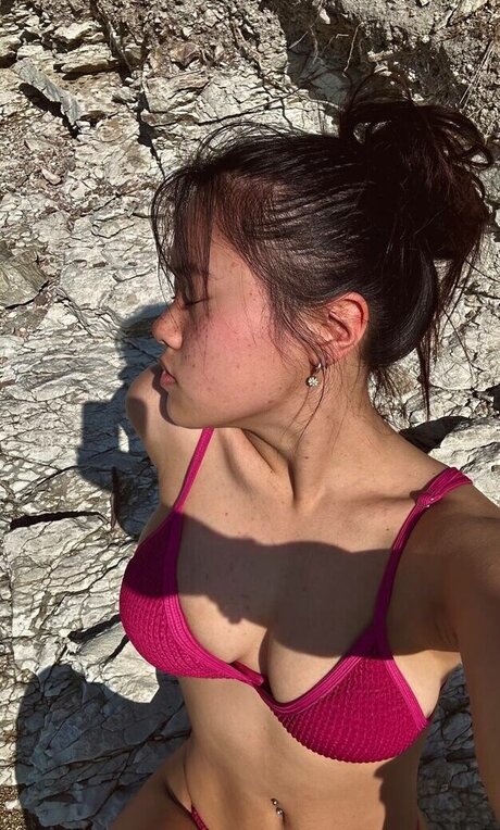 Michela Han sexe star du porno collection