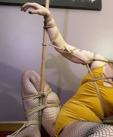 Riley Ramone star du porno parfaite collection