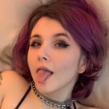 Riley Ramone jolie star du porno collection