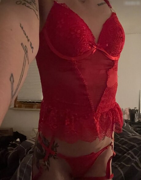 Florentinamaus modèle de haute qualité photos