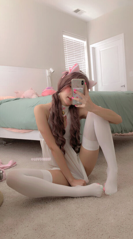 fans de chatte blanche uniquement bel art photos