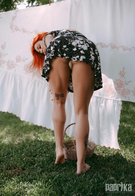 Rossane Bom star du porno image