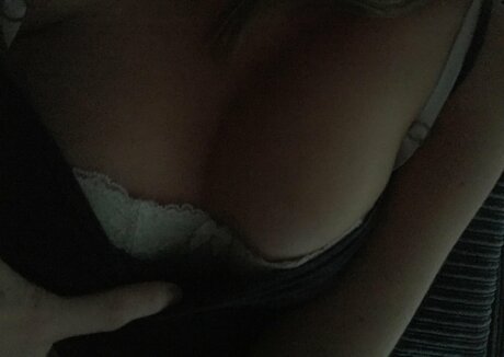 catraises modèle gratuit images