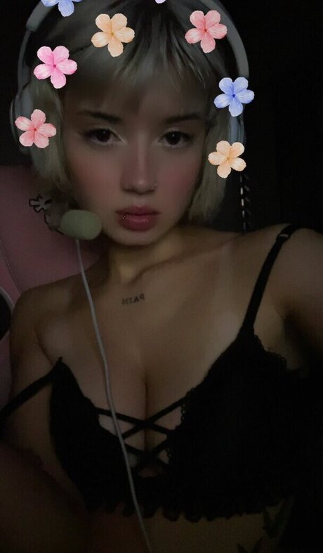 chaton gratuit onlyfans belle exclusivité collection