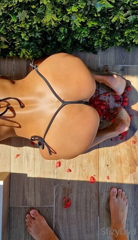 sfizydyd modèle gratuit img