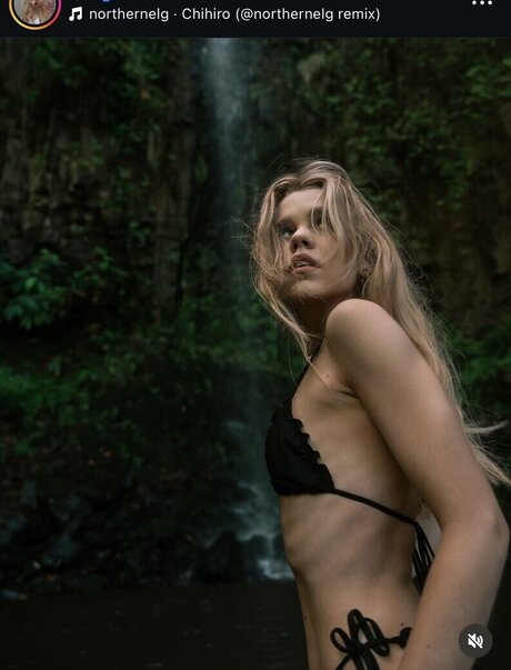 chaton courbé onlyfans sexe artistique collection