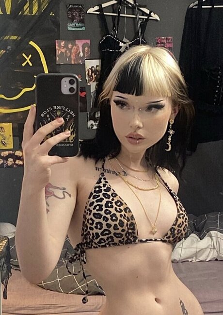 vwnrottie étoile de haute qualité archive