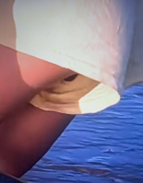 Sailing The Far Side étoile nue photos