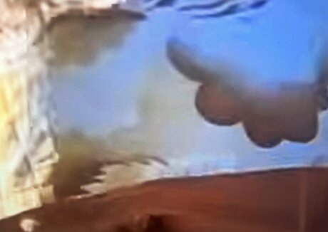 Sailing The Far Side modèle érotique archive