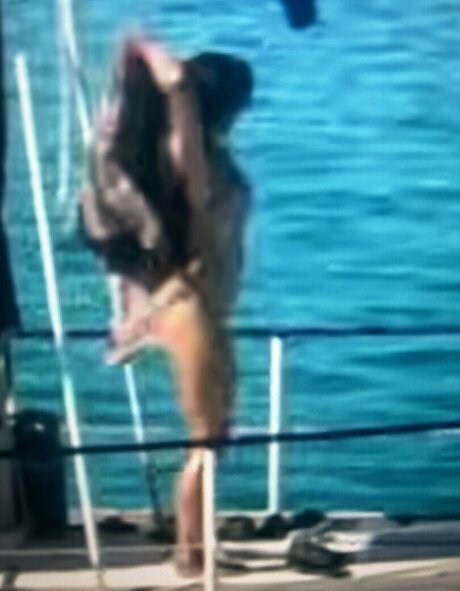 Sailing The Far Side modèle xxx img