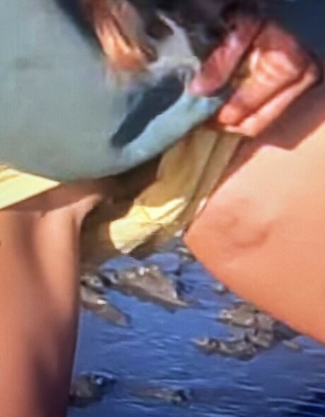 Sailing The Far Side xxx étoile image