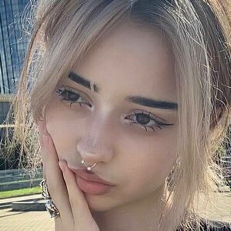 pavuk1 0 art étoile galeries