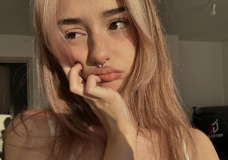 pavuk1 0 haut modèle img