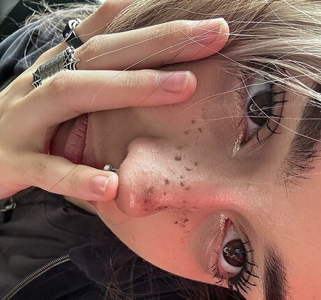 pavuk1 0 étoile parfaite img