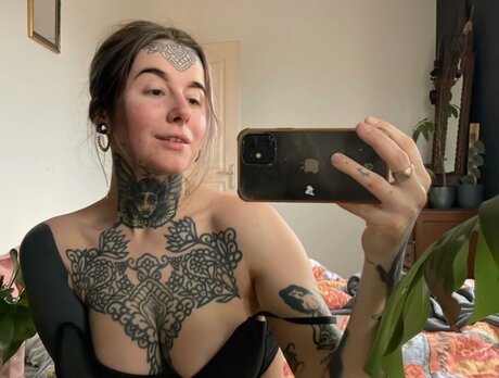 divinement bon art étoile photos