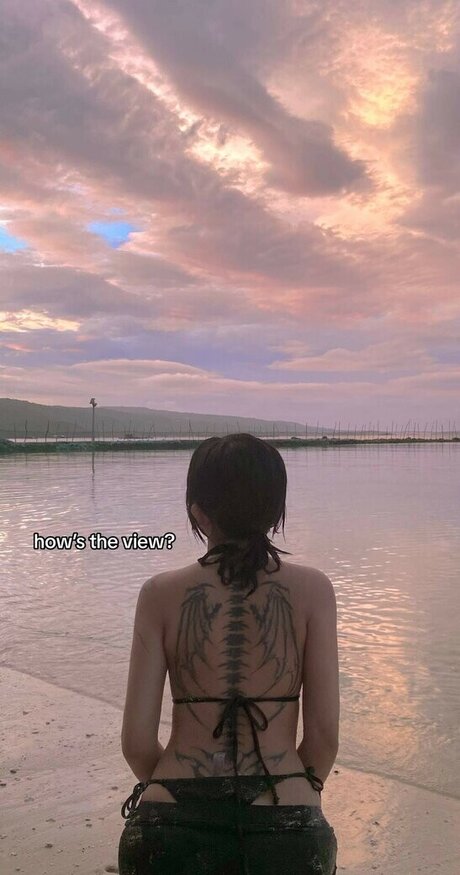 zems3lling star exclusive archive