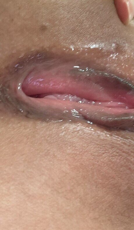 ehxoehlstkfka0 modèle artistique img