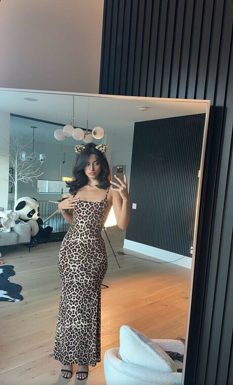 fans de classe uniquement art haute définition images