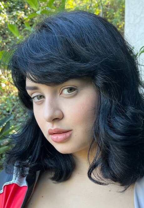 Leda Lotharia étoile galerie