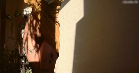 Missirajin star du porno xxx galerie