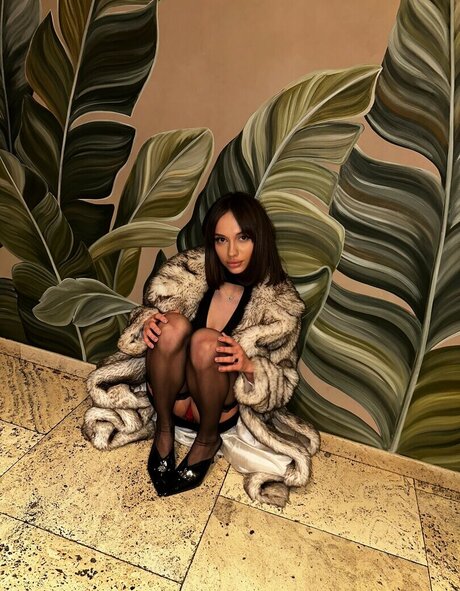 Prima Bella étoile de l'art image