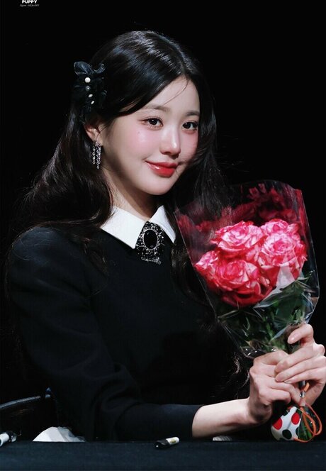 Jang Won young étoile hd collection