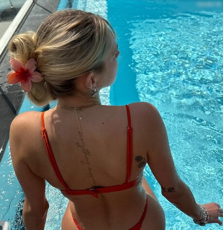 Lillimsr belle étoile photo