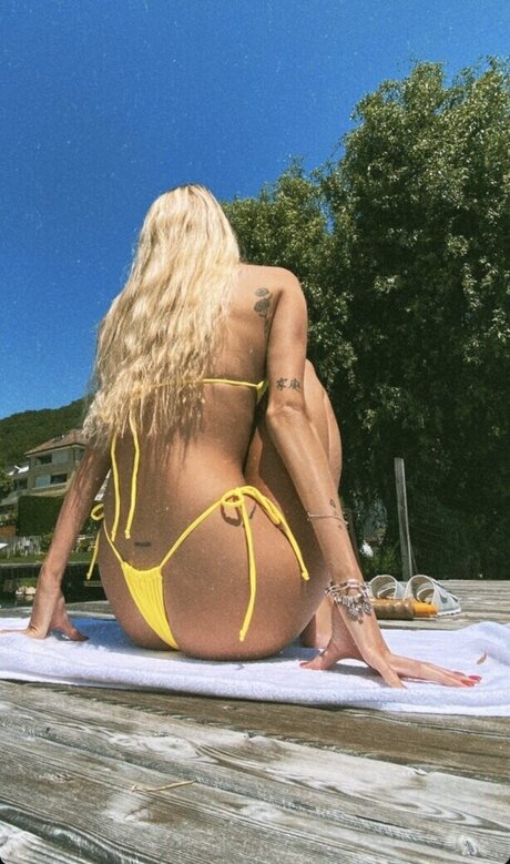 Lillimsr étoile chaude galerie