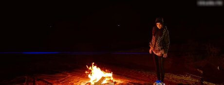 DomTheNation sexe star collection