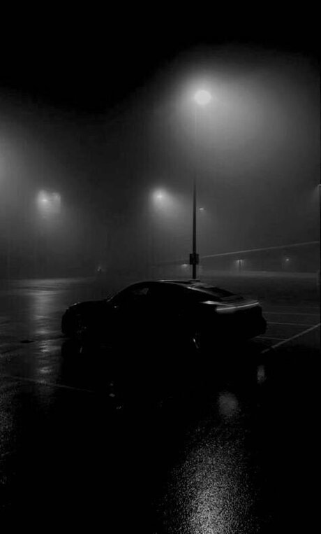 Diskussion silaaabae étoile sympa collection