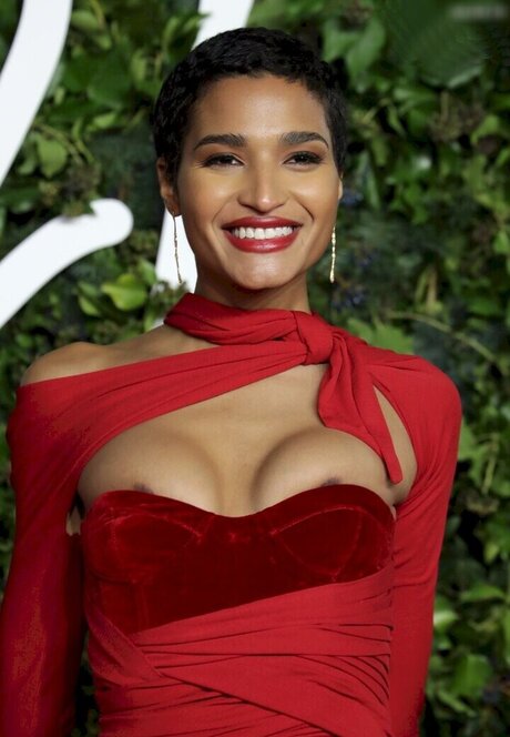 fans asiatiques anaux uniquement art sexy image