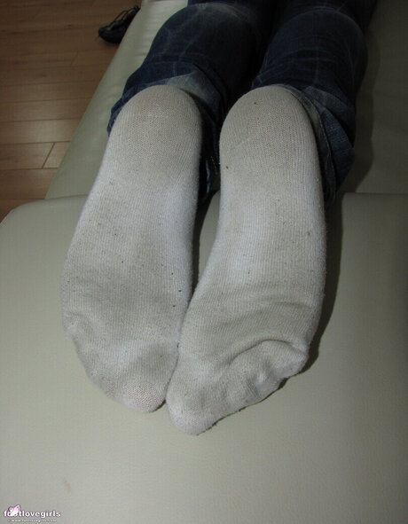 fans de cul transexuelle uniquement porno hd image