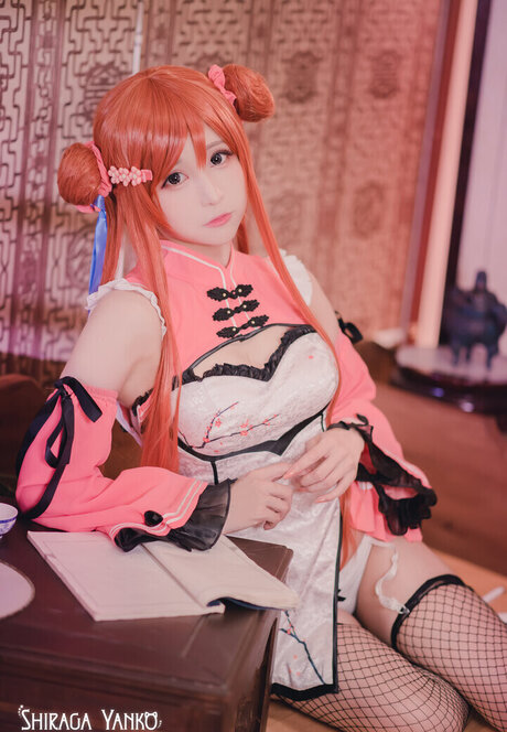 Shiraga Yanko modèle pornographique photo