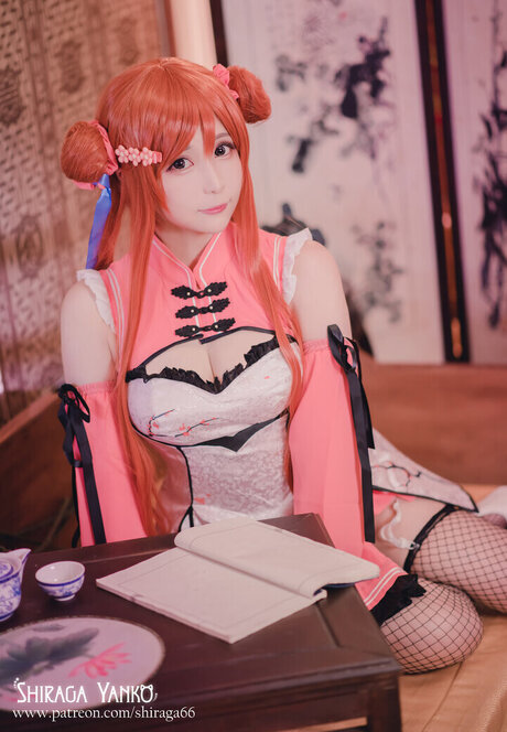 Shiraga Yanko meilleur modèle archive