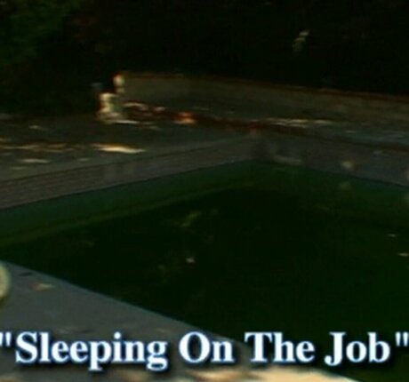 Peter North étoile sexy galeries