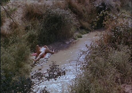 Ellen Barkin sexe star galeries