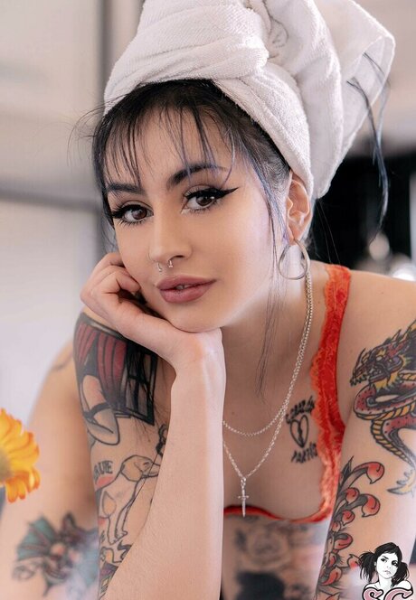 Deliriumtremmens modèle collection