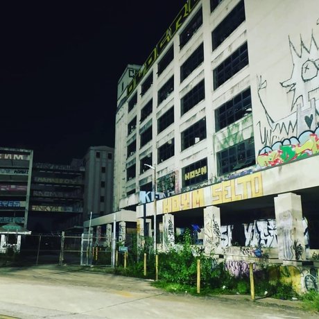 Kinkster Kitty Laika étoile nue img